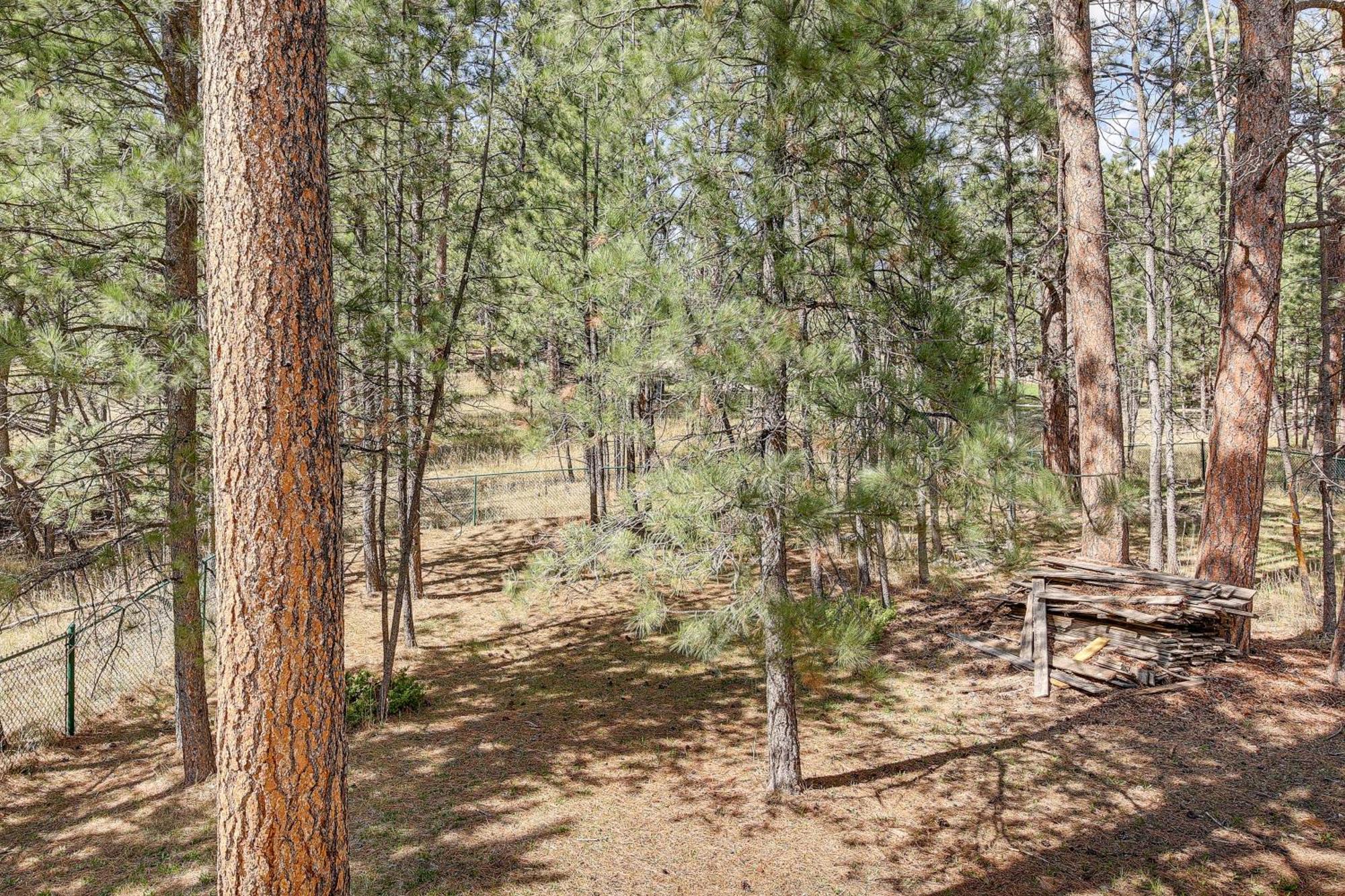 Private Black Hills Home With Corral Horses Welcome Къстър Екстериор снимка